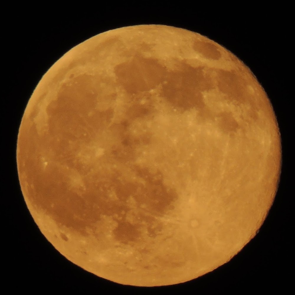 Meet your Posher, Cailey